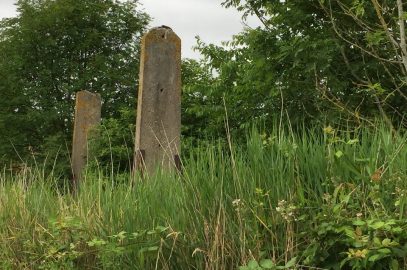 VVD vraagt naar voortgang beloofde natuurherstel Landtongen